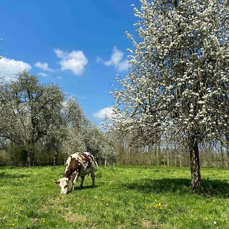 De La Poste 6 Feriehus Saint-Fraimbault-sur-Pisse