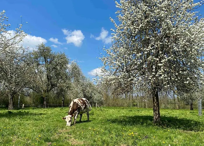 De La Poste 6 Casa vacanze Saint-Fraimbault-sur-Pisse